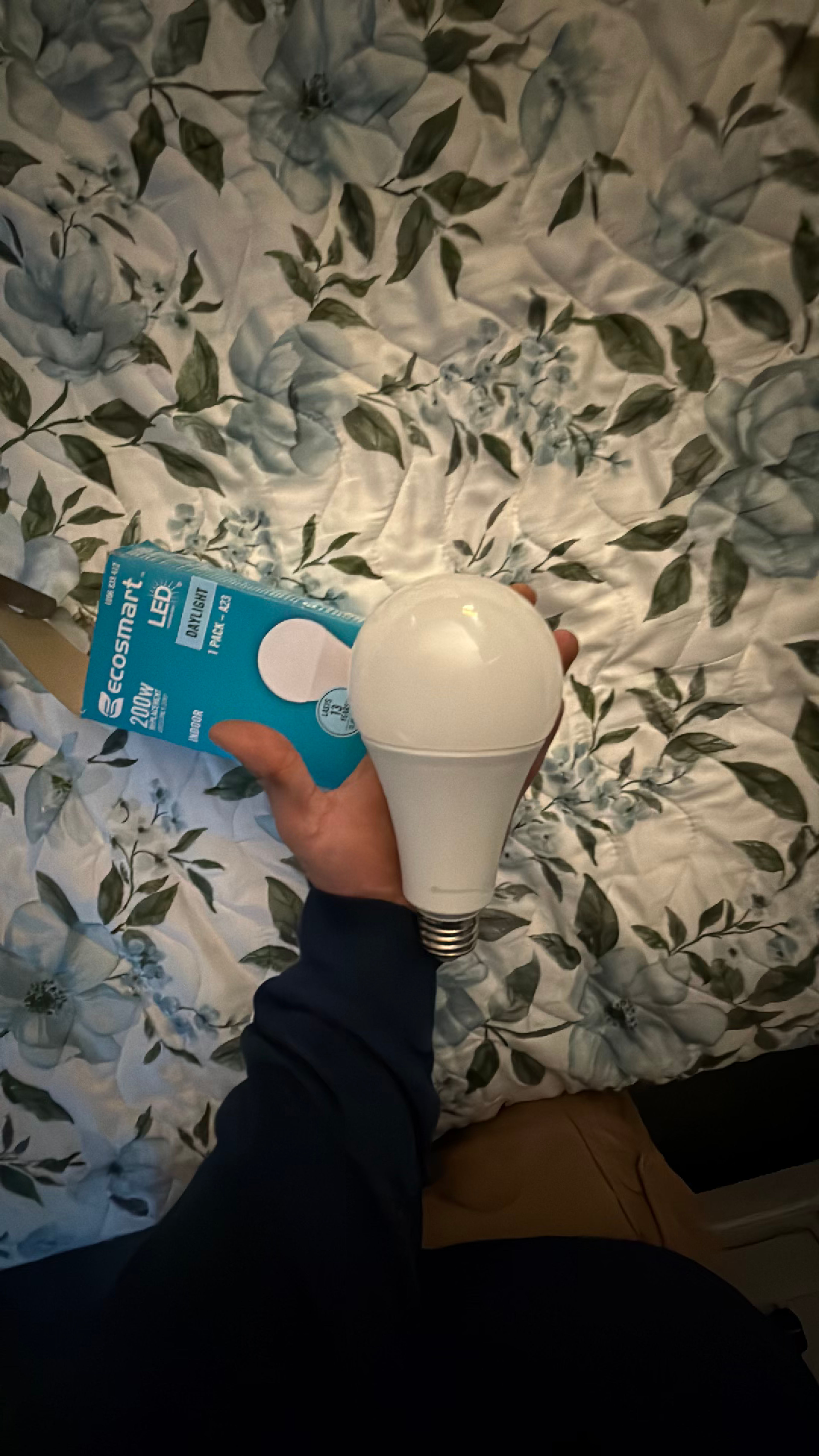 Ecosmart LED Light Bulb - Image 4