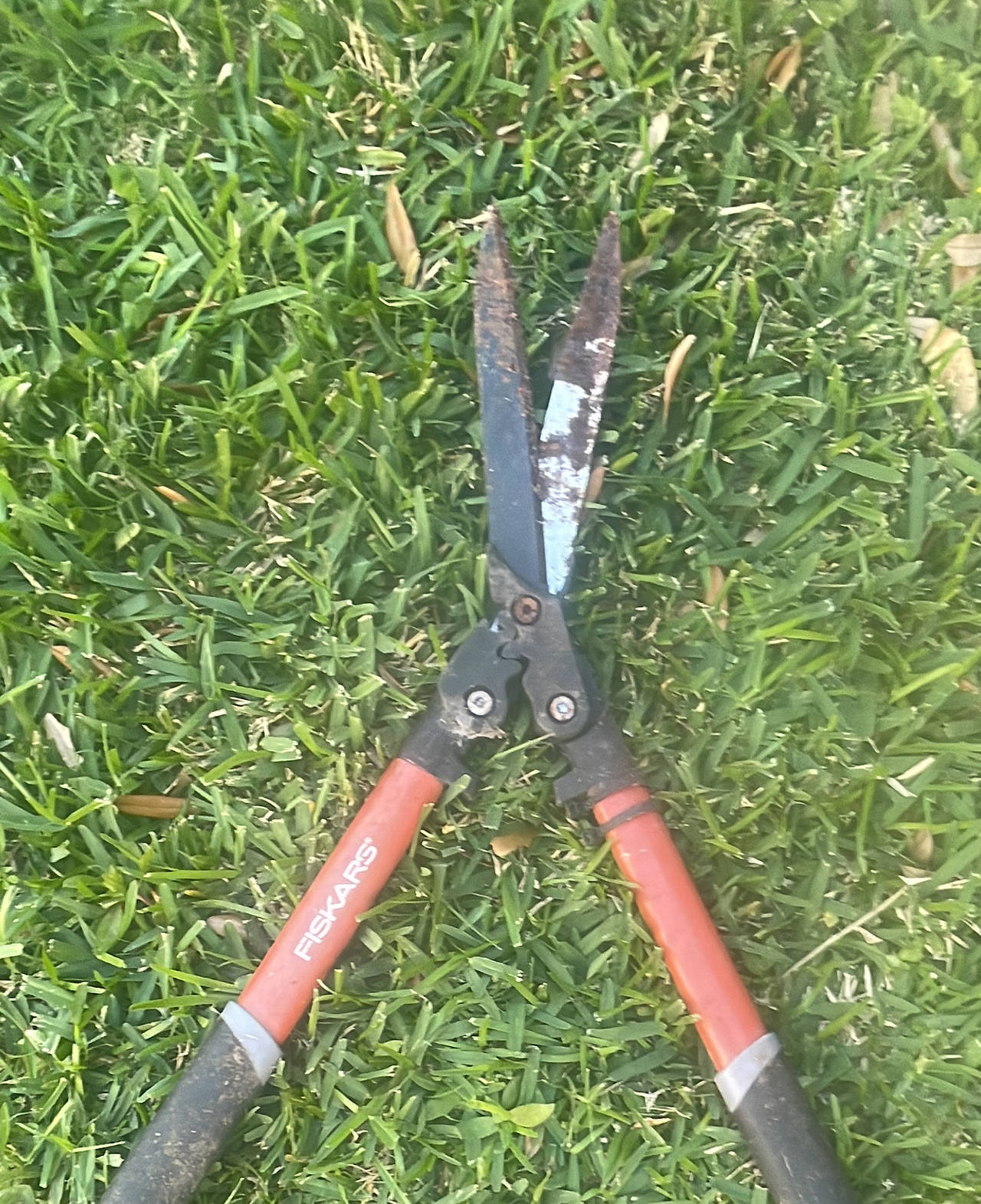 Fiskars Hedge Shears