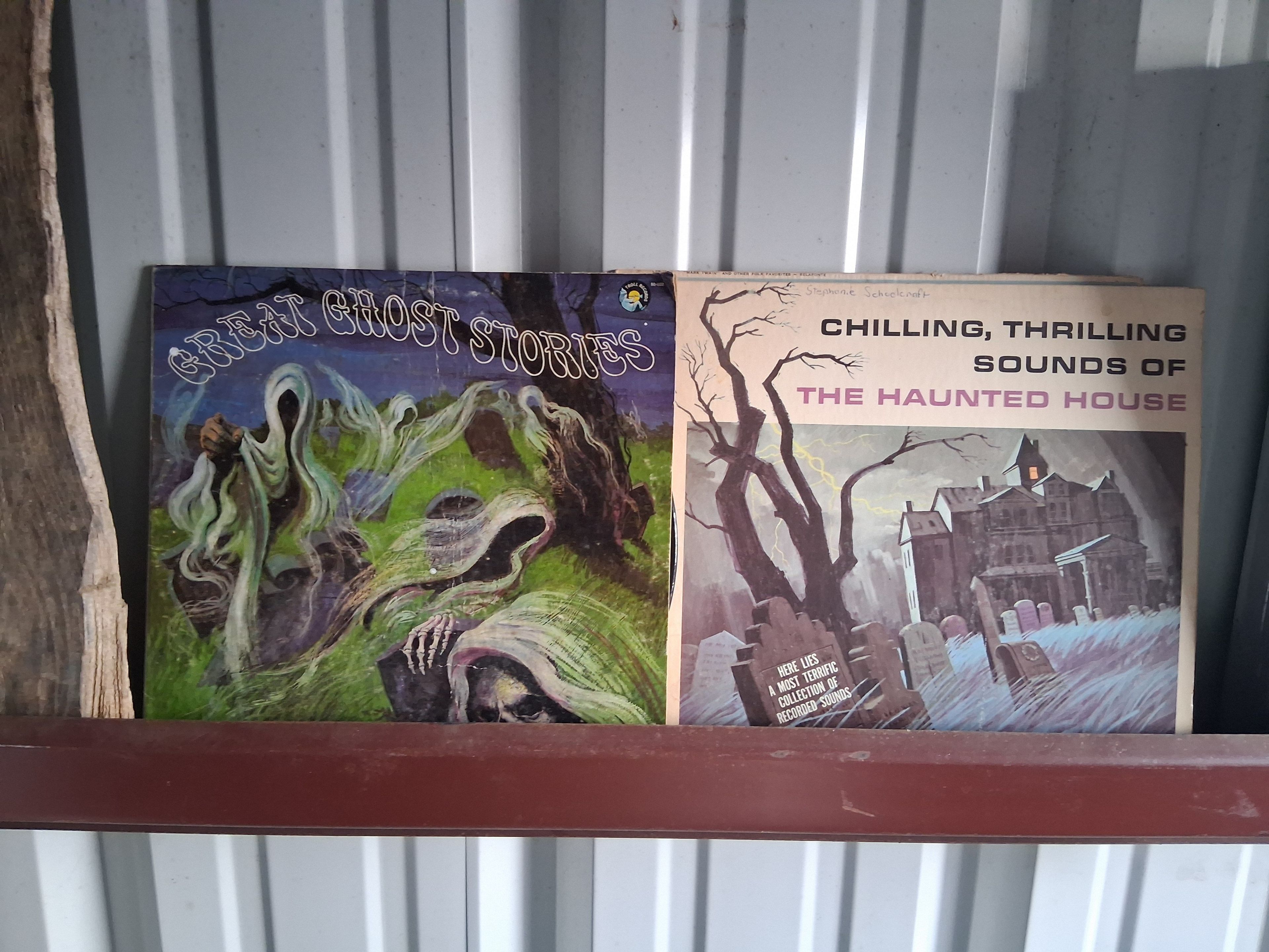 Chilling, Thrilling Sounds of the Haunted House Vinyl LP