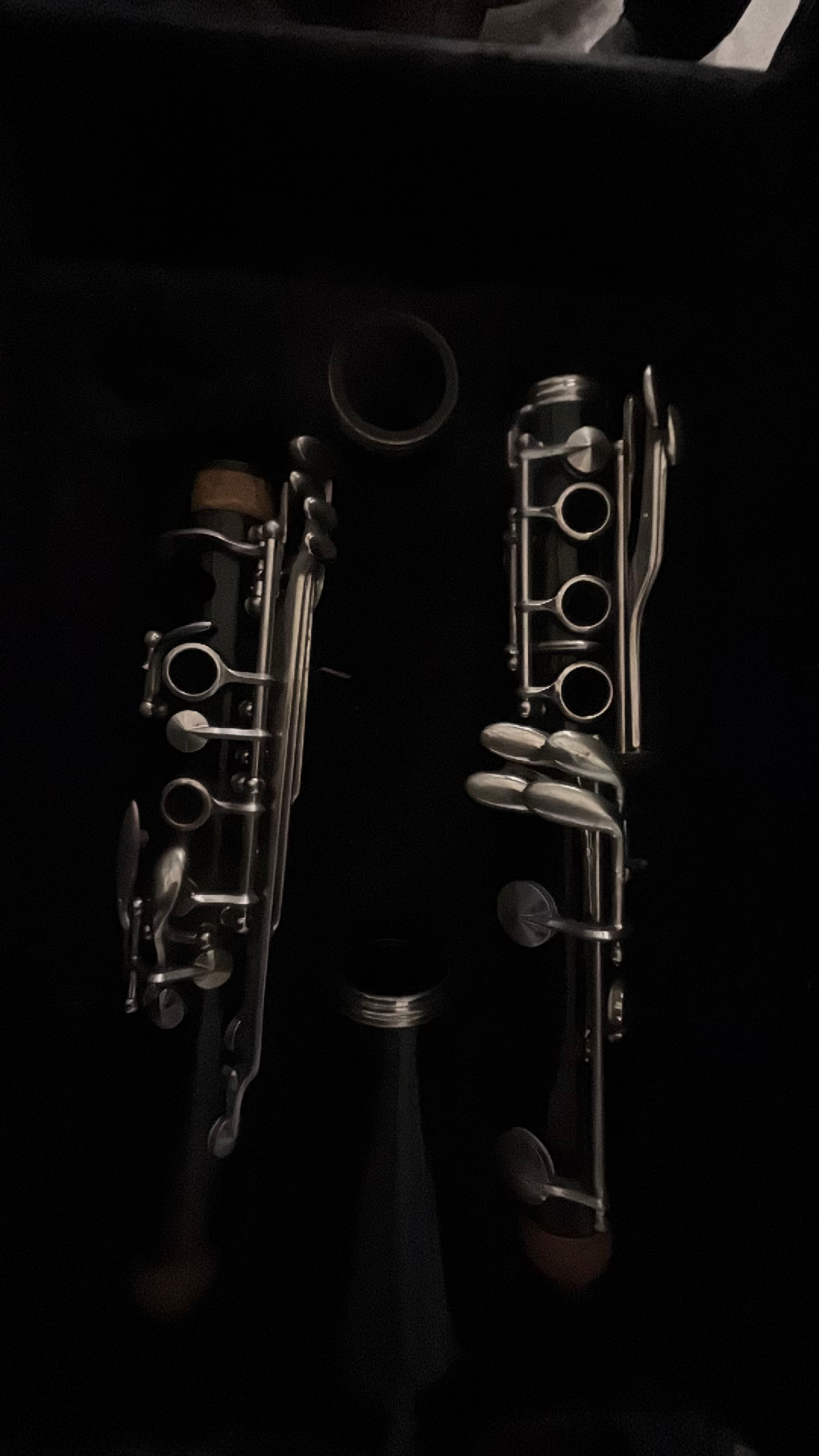 Buffet Crampon Professional Bb Clarinet - Image 2