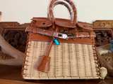 Hermès Birkin Picnic Bag - Image 1