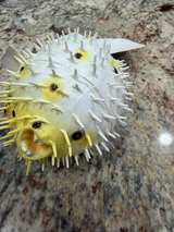 Club Earth Porcupine Fish Squirt Toy Vintage - Image 4