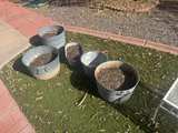 Vintage Metal Tin Can Rusty Steampunk Trash Pail- $20 Each - Image 5