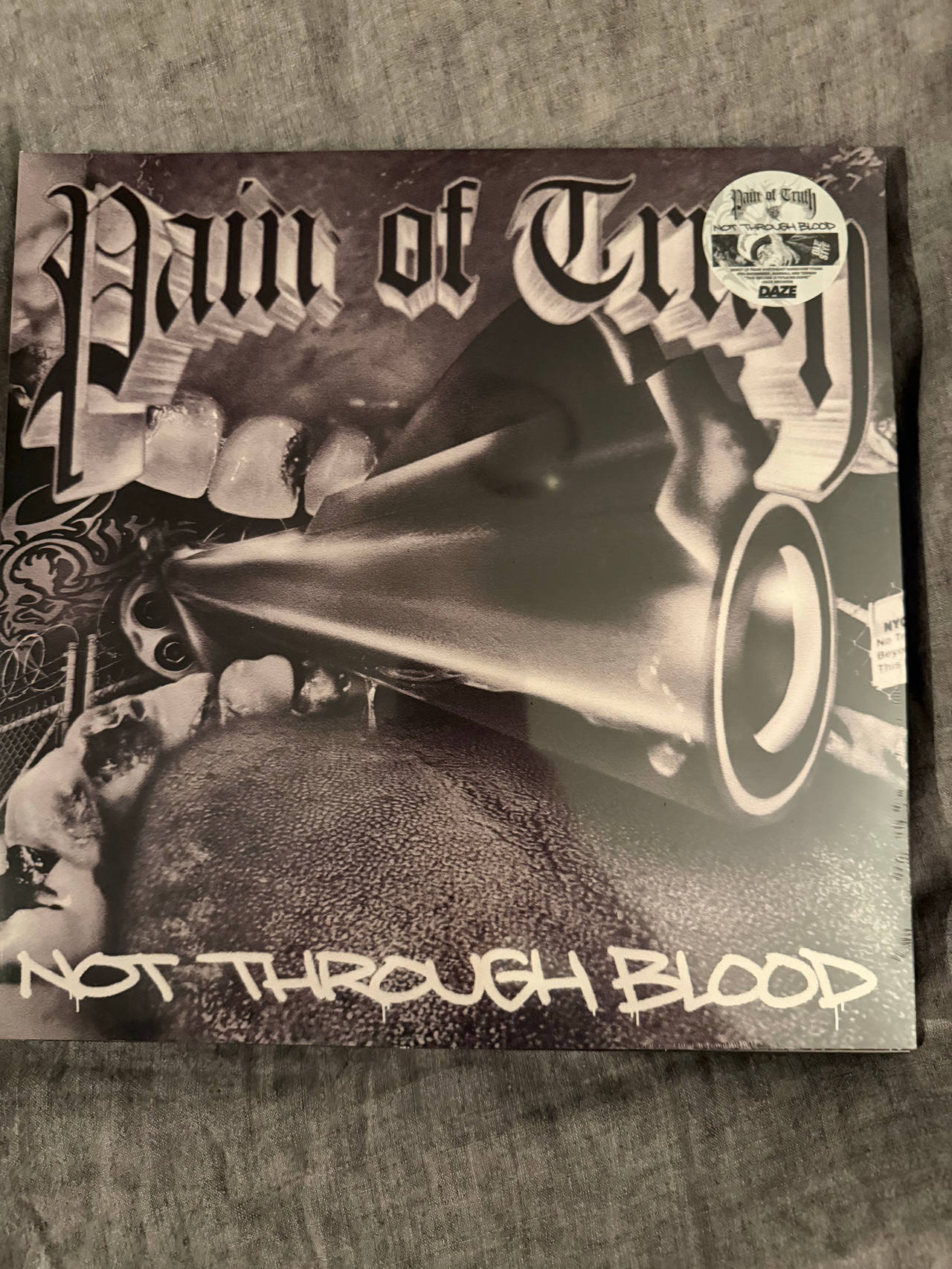 Pain of Truth - Not Through Blood