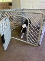 North States MyPet Petyard Passage 6-Panel Dog Playpen with Door - Image 3