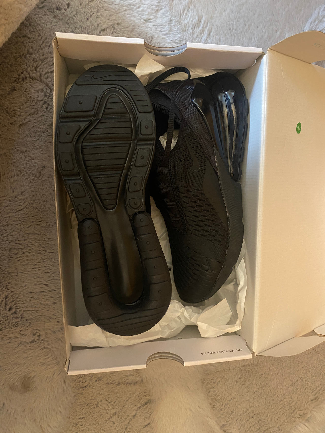 Nike Air Max 270