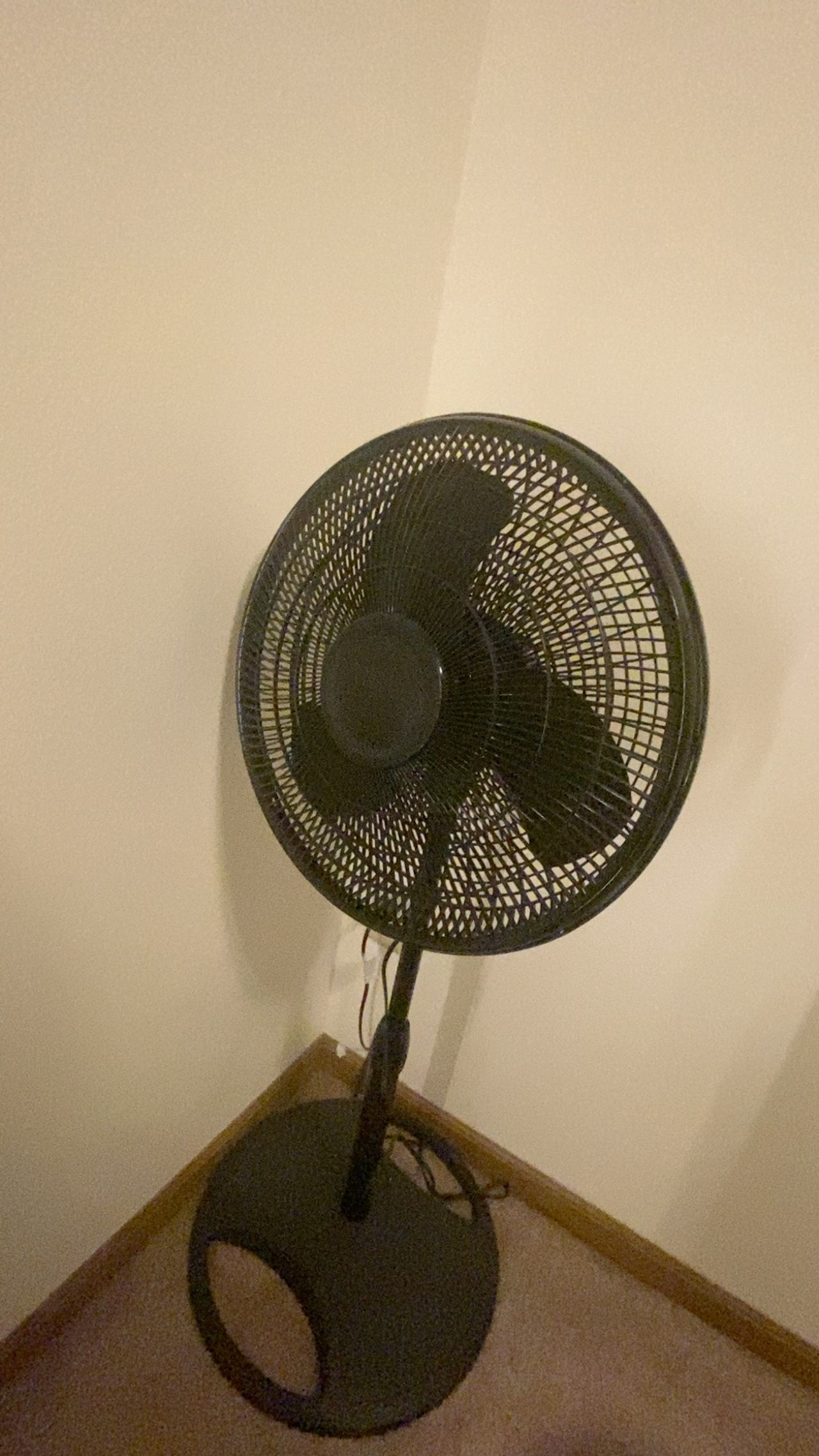 Lasko 16" Oscillating Pedestal Fan Black