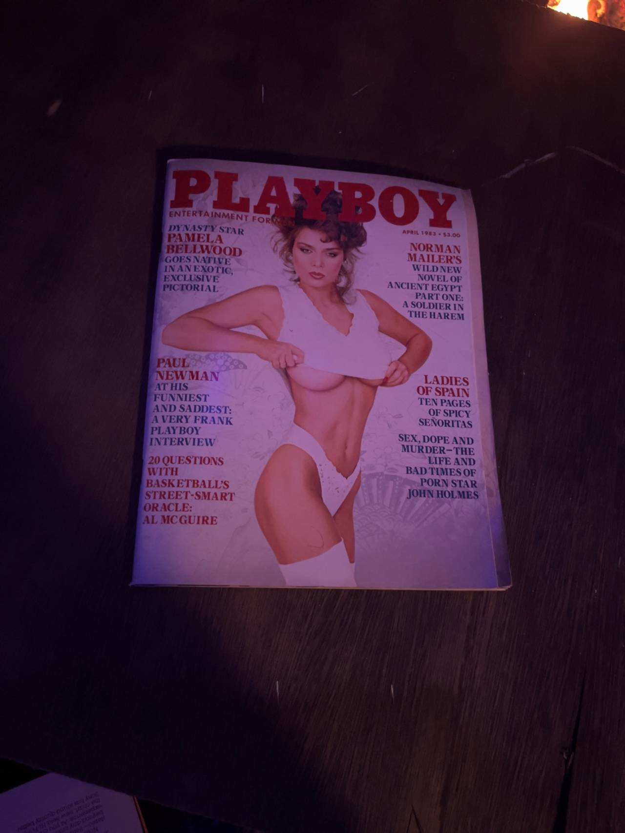 Playboy Magazine April 1983 Vintage Issue