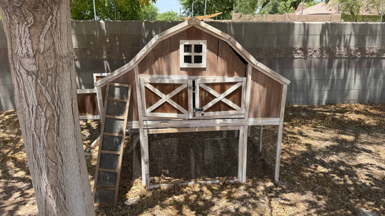 Trixie Barn Style Chicken Coop with Outdoor Run