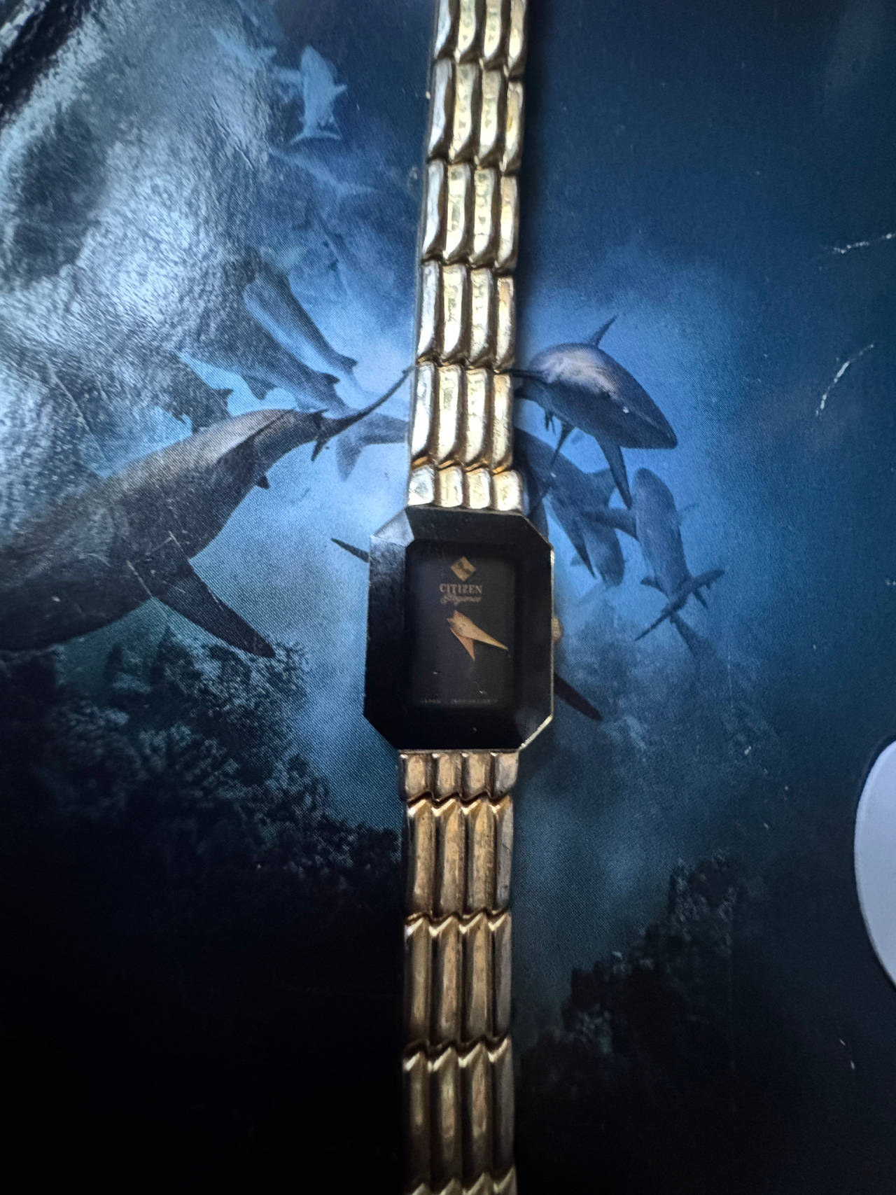 Citizen Elegance Vintage Gold Tone Watch