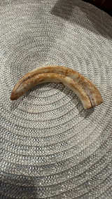 Vintage Carved Boar Tusk - Image 4