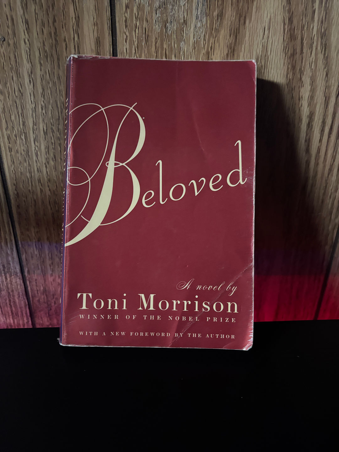 Beloved by Toni Morrison - Vintage Paper, Pulitzer Winner Classic Novel - $1