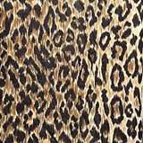 Dolce & Gabbana Leopard Print Dress - Image 7