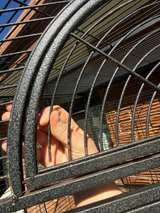 185cm XXL Corner Bird Cage Pet Parrot Aviary Perch Castor Wheel - Image 5