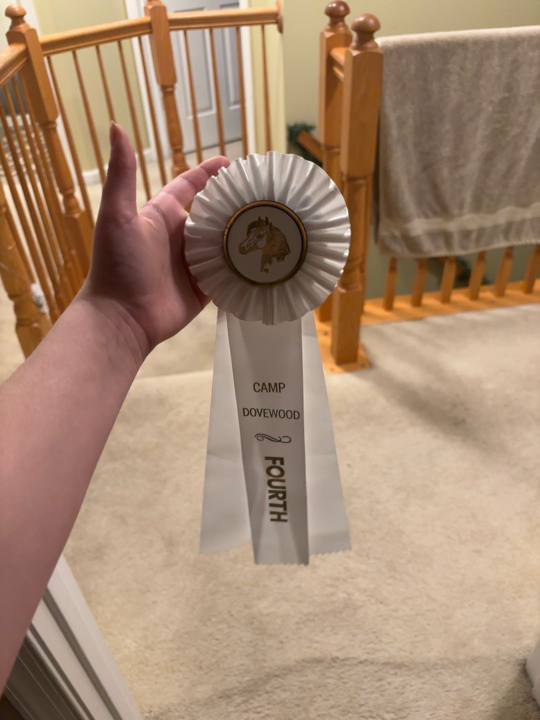 Handmade Pine Ribbon Display for Horse/Dog Shows