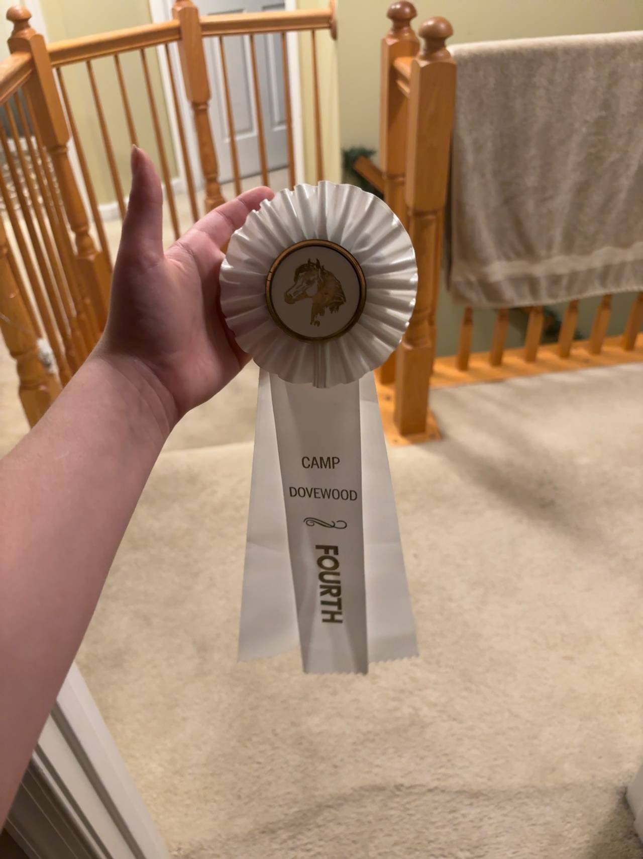 Handmade Pine Ribbon Display for Horse/Dog Shows