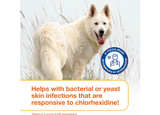 Douxo S3 Pyo Mousse, Contains 3% Chlorhexidine & 0.5% Ophytrium, Antiseptic - Image 5