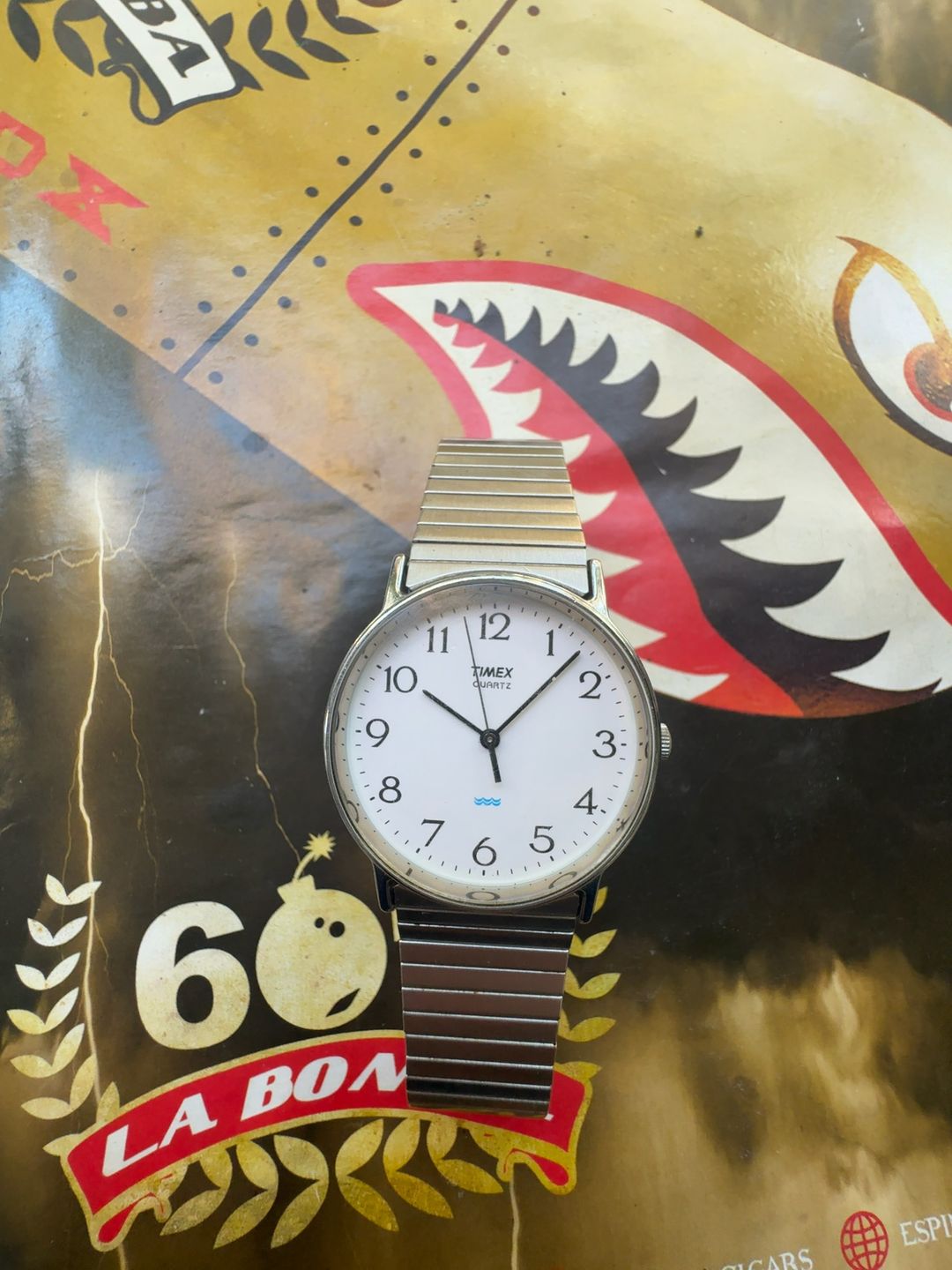 Timex Vintage Silver Tone Analog Watch