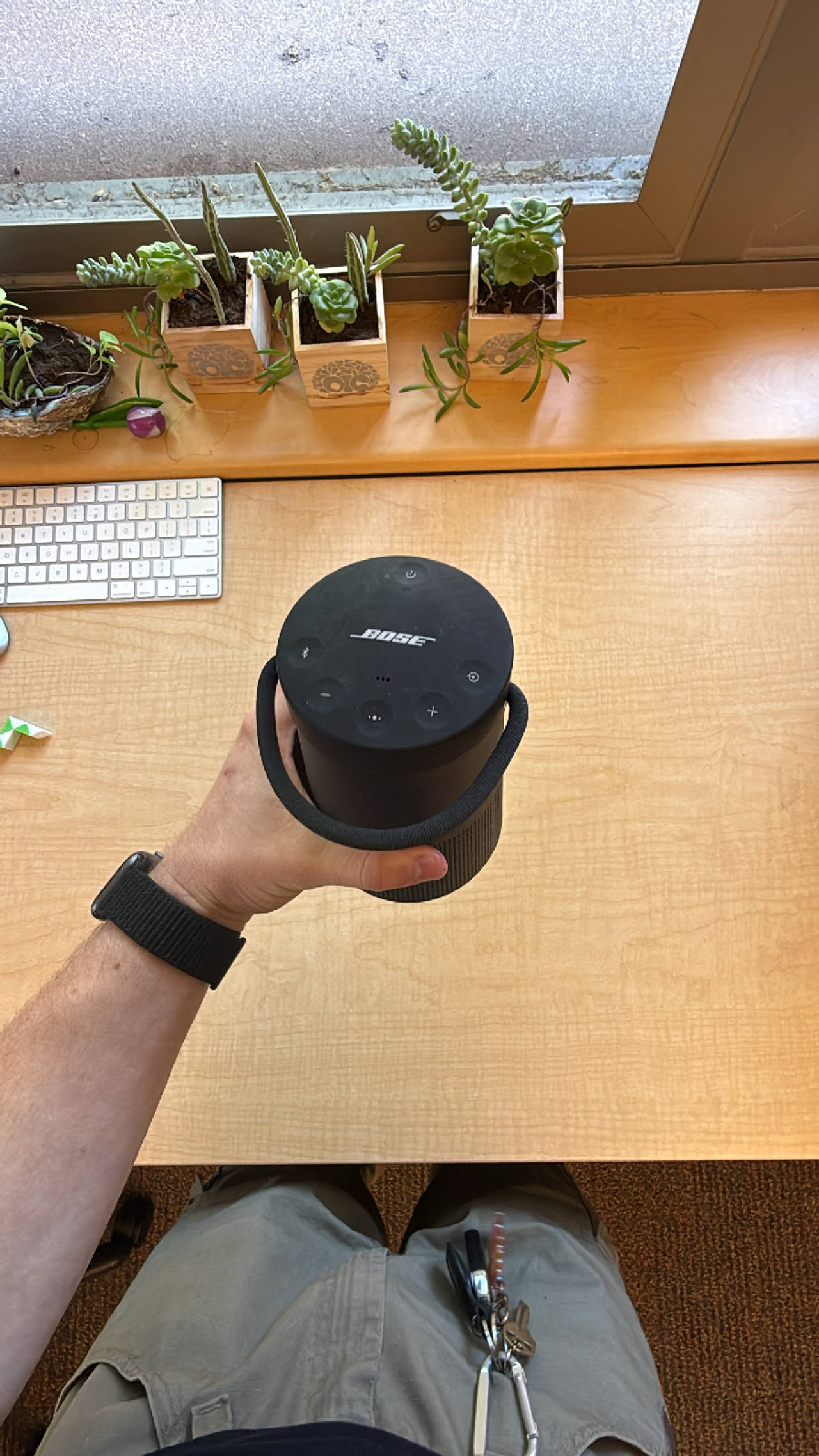 Bose SoundLink Revolve+