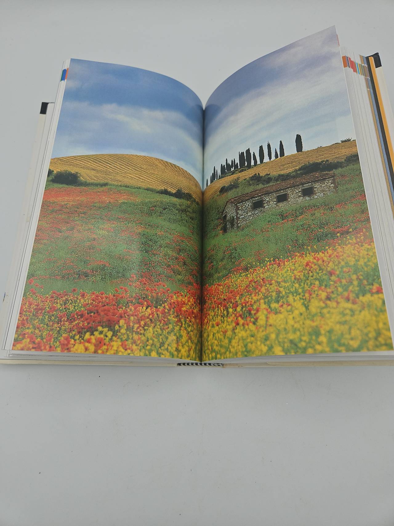 DK Eyewitness Travel Guide: Italy