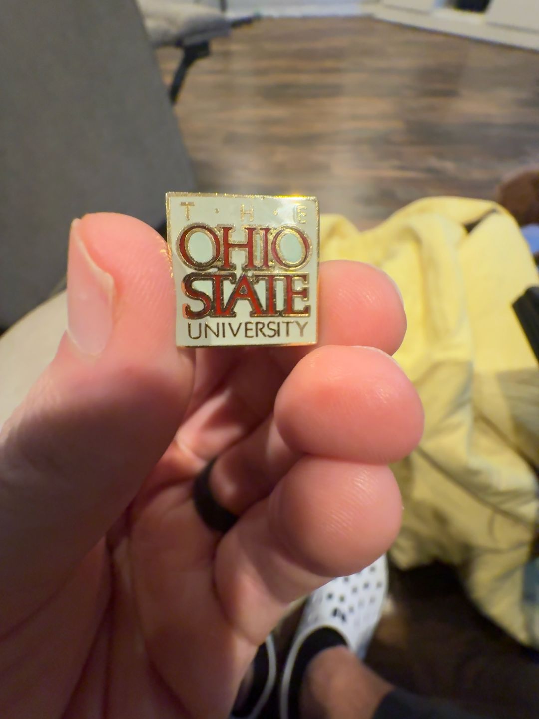 Ohio State University Vintage Pin Badge