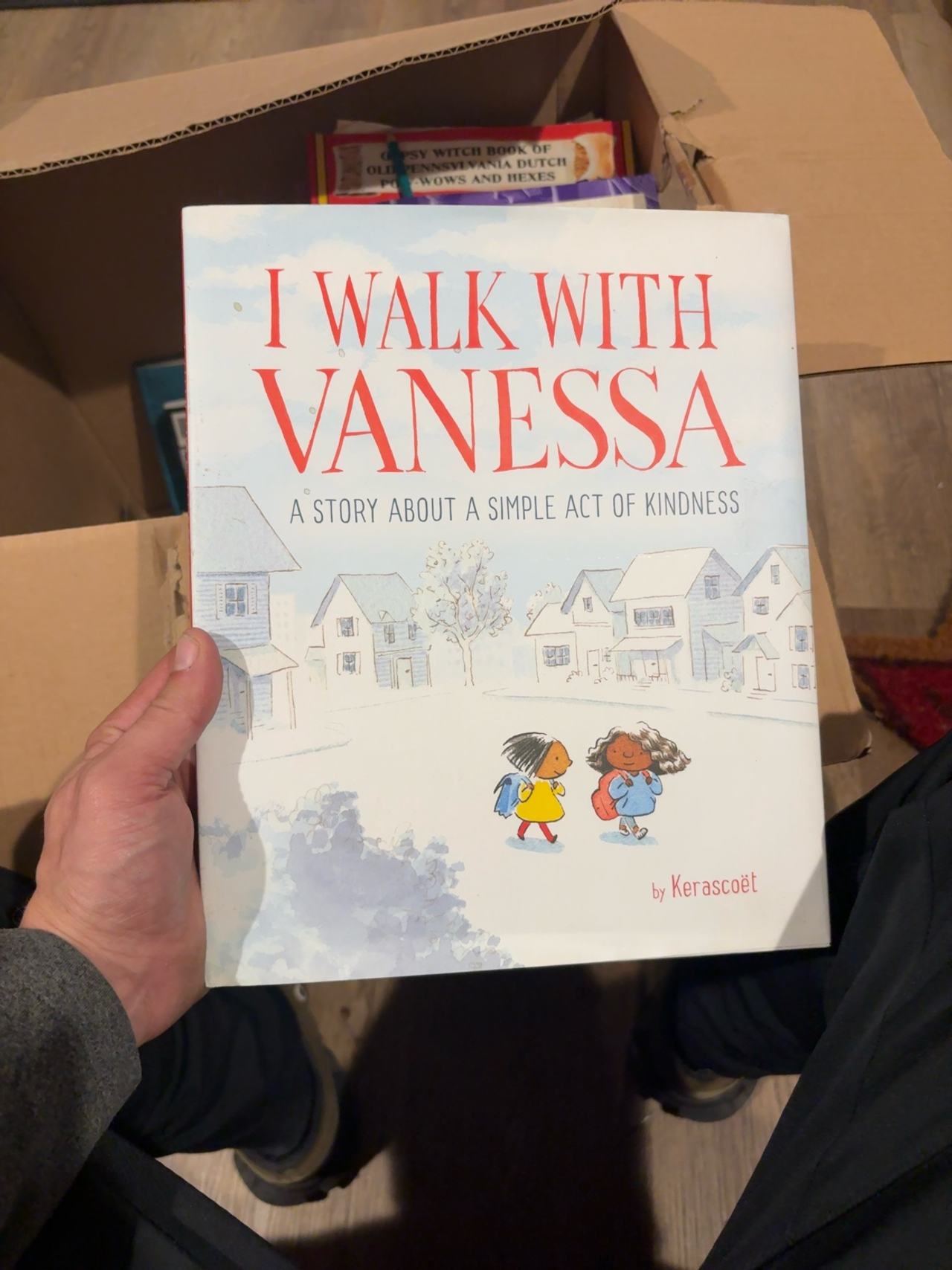 Say Hello, Vanessa (Hardcover)