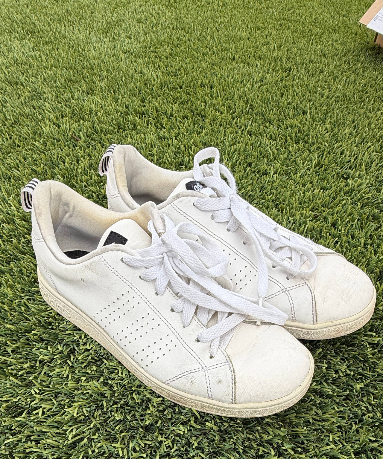 adidas Advantage Base Shoes