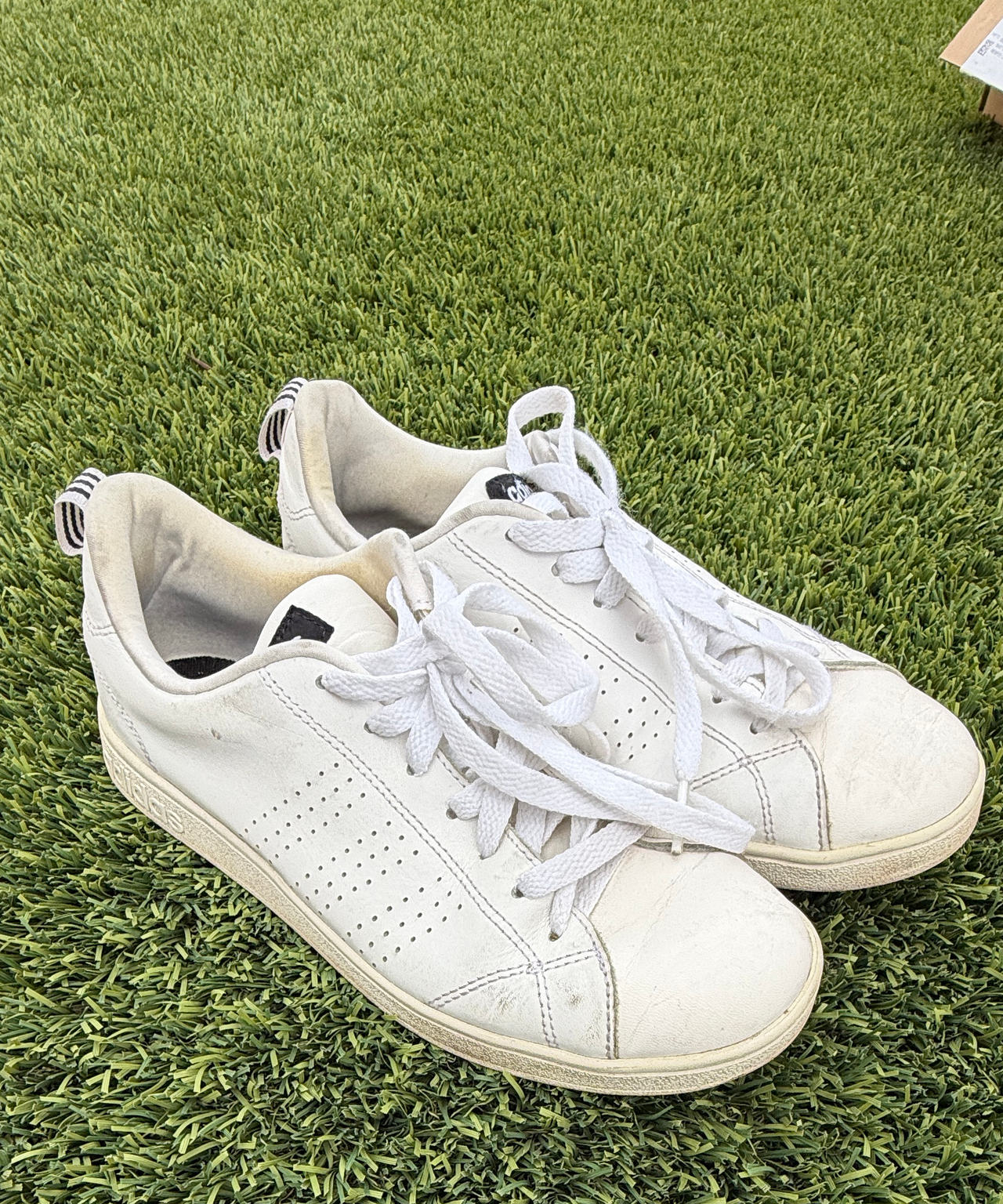 adidas Advantage Base Shoes