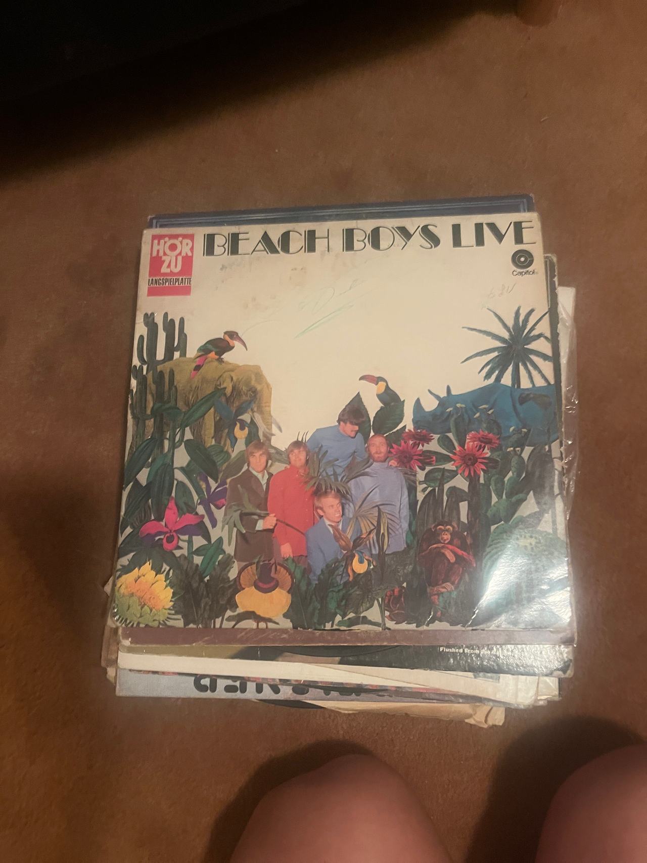 Beach Boys Live