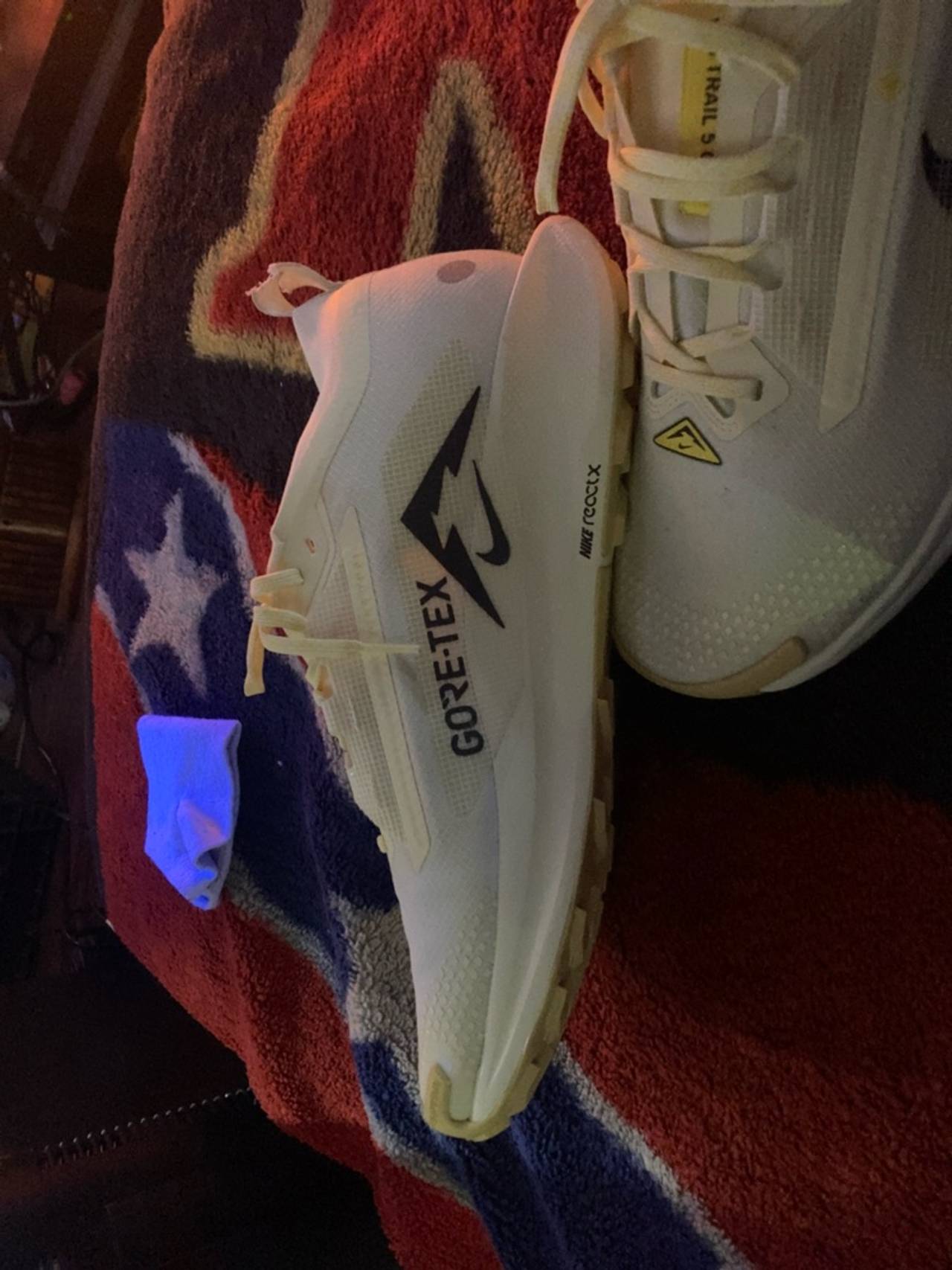 Nike Pegasus Trail 5 Gore-Tex Summit White