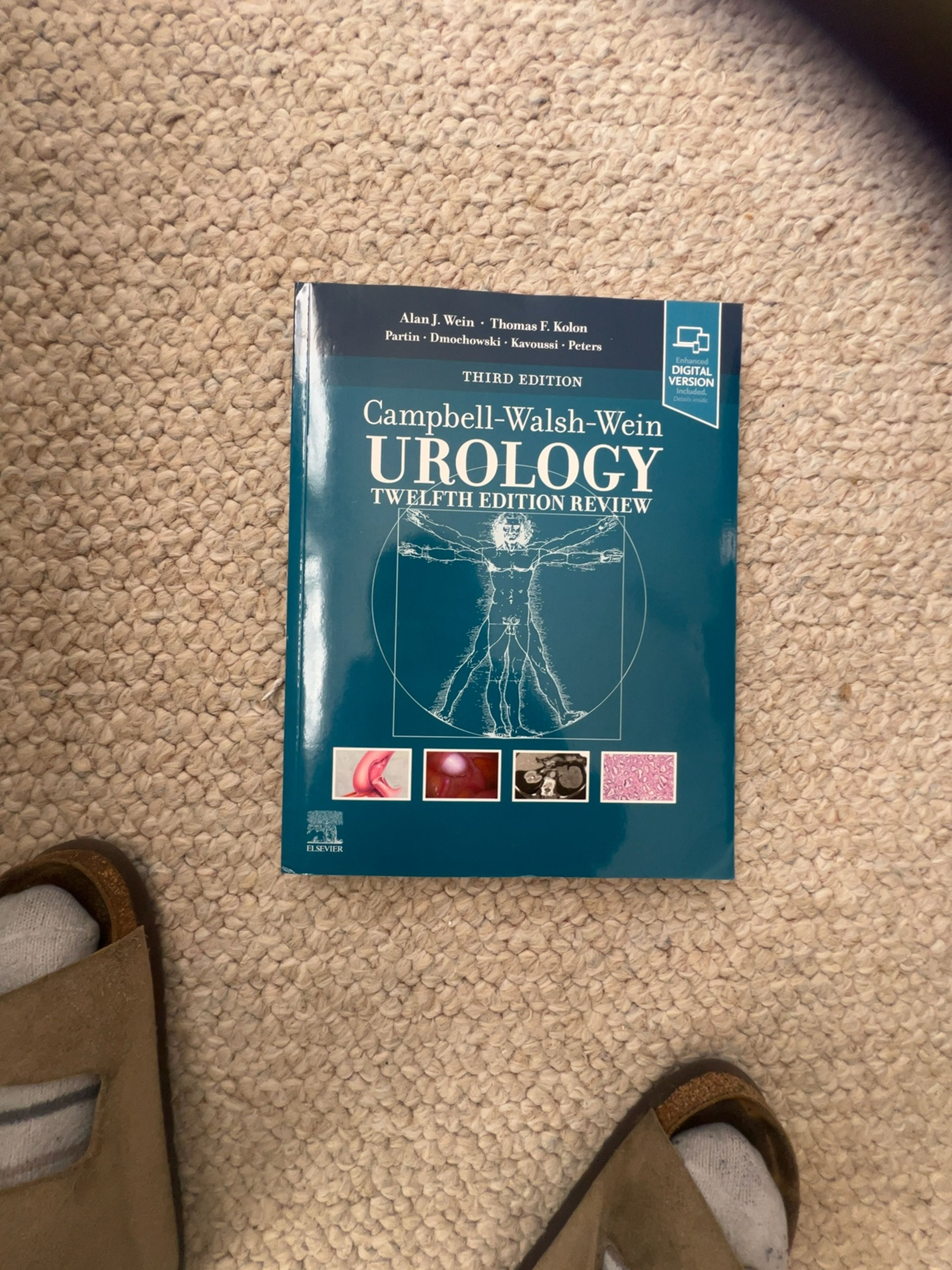 Campbell-Walsh Urology 12th Edition Review