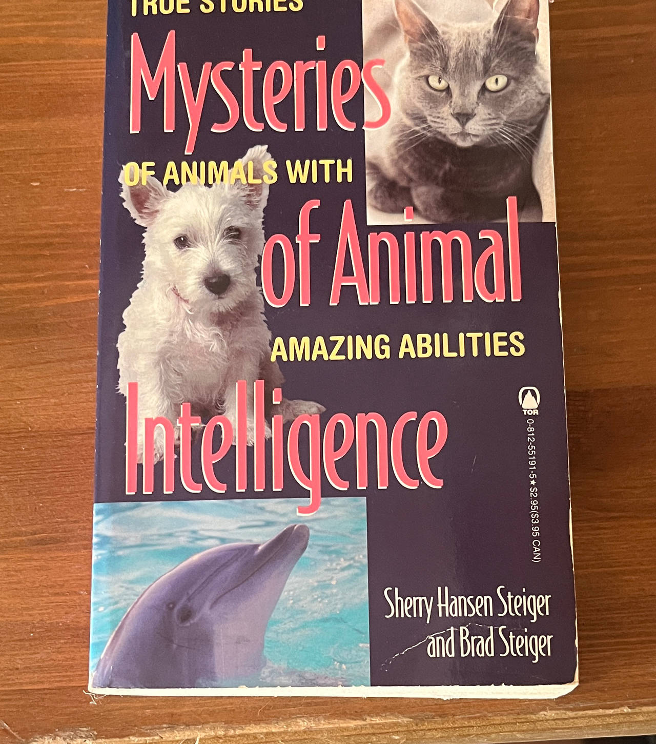 Mysteries of Animal Intelligence: True Stories of Animals with Amazing Abilities