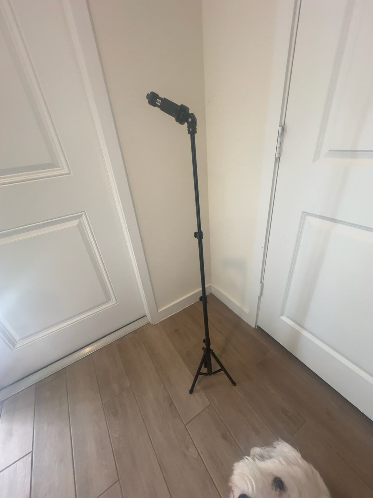 Fugitech Tripod Phone Stand with Remote