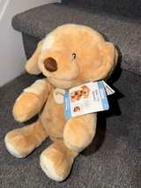 Gund Spunky Plush Puppy Beige 14-inch - Image 2