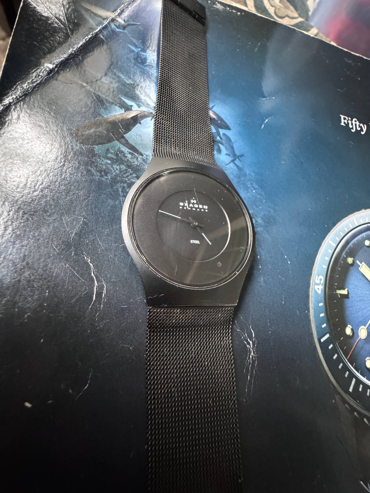 Skagen Denmark Steel Mesh Watch