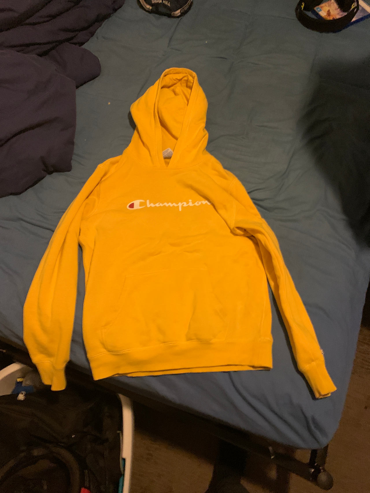 Champion Script Logo Hoodie
