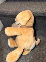 Gund Spunky Plush Puppy Beige 14-inch - Image 4