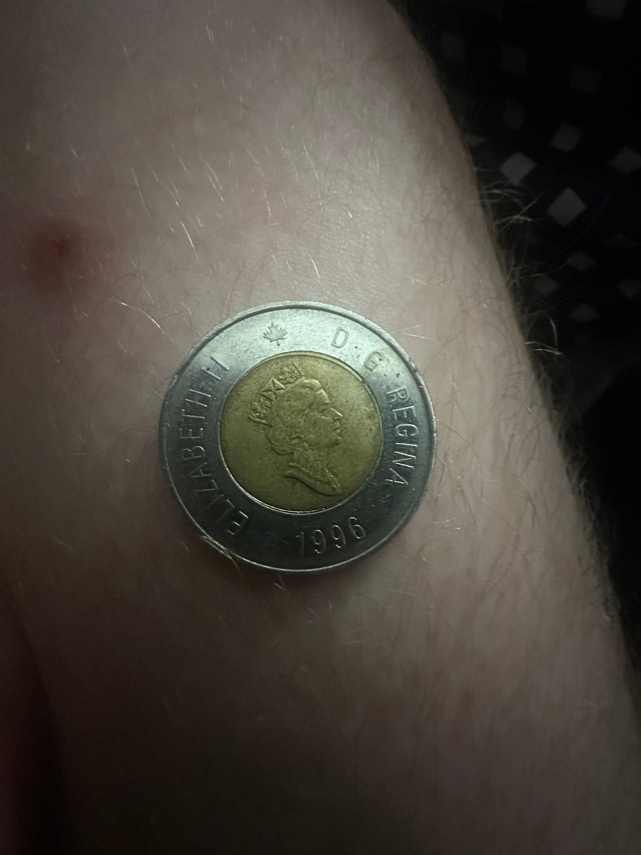 Canadian Two Dollar Coin