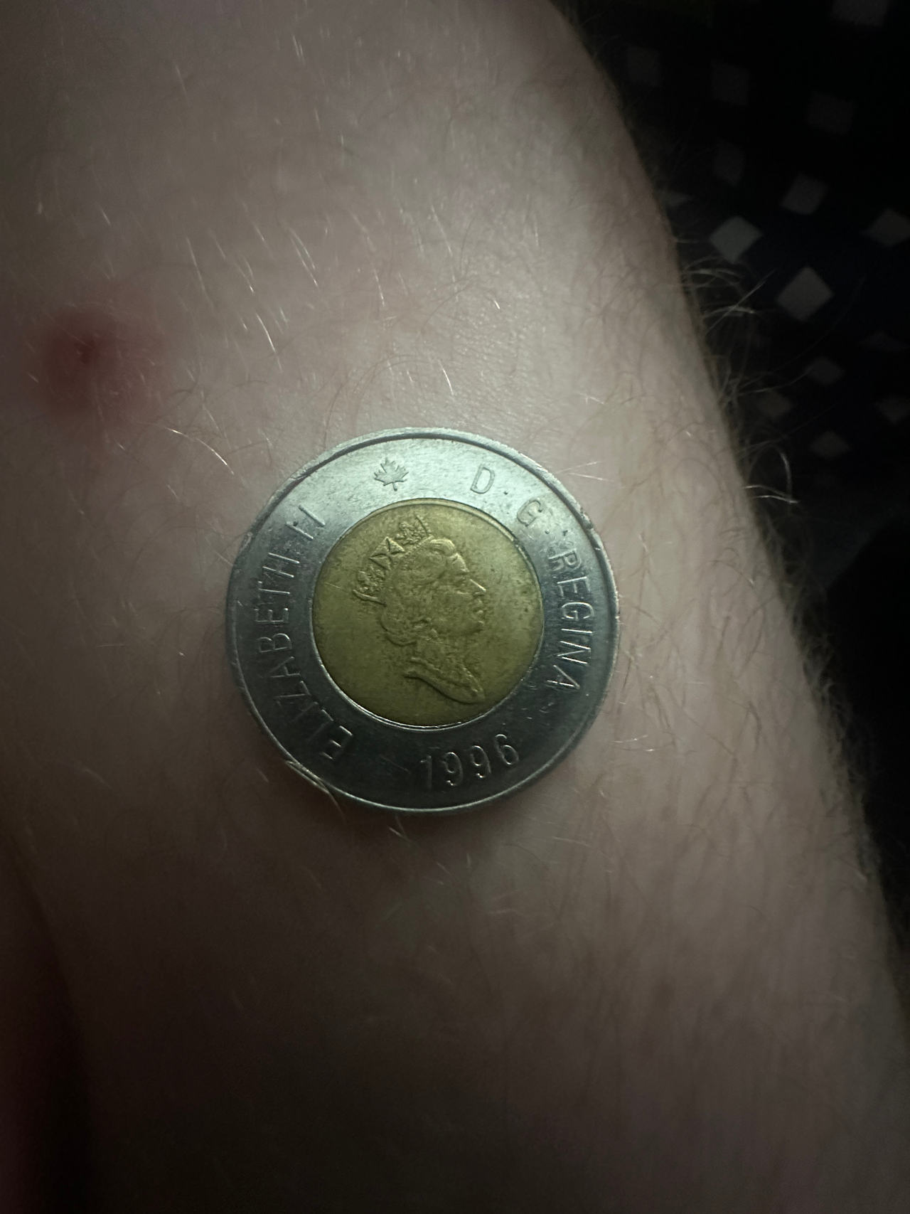 Canadian Two Dollar Coin