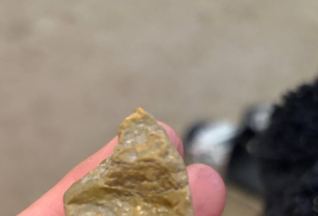 Native American Lithic Flake Artifact