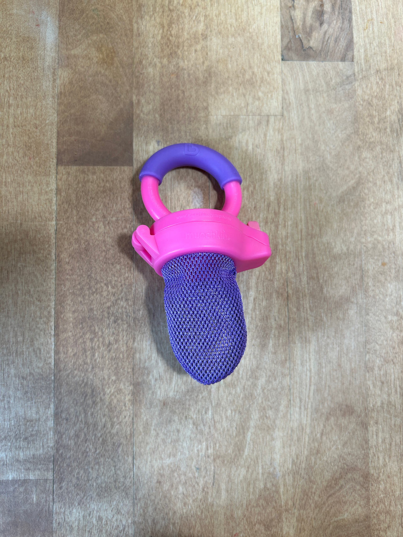 Baby Fruit Feeder Pacifier