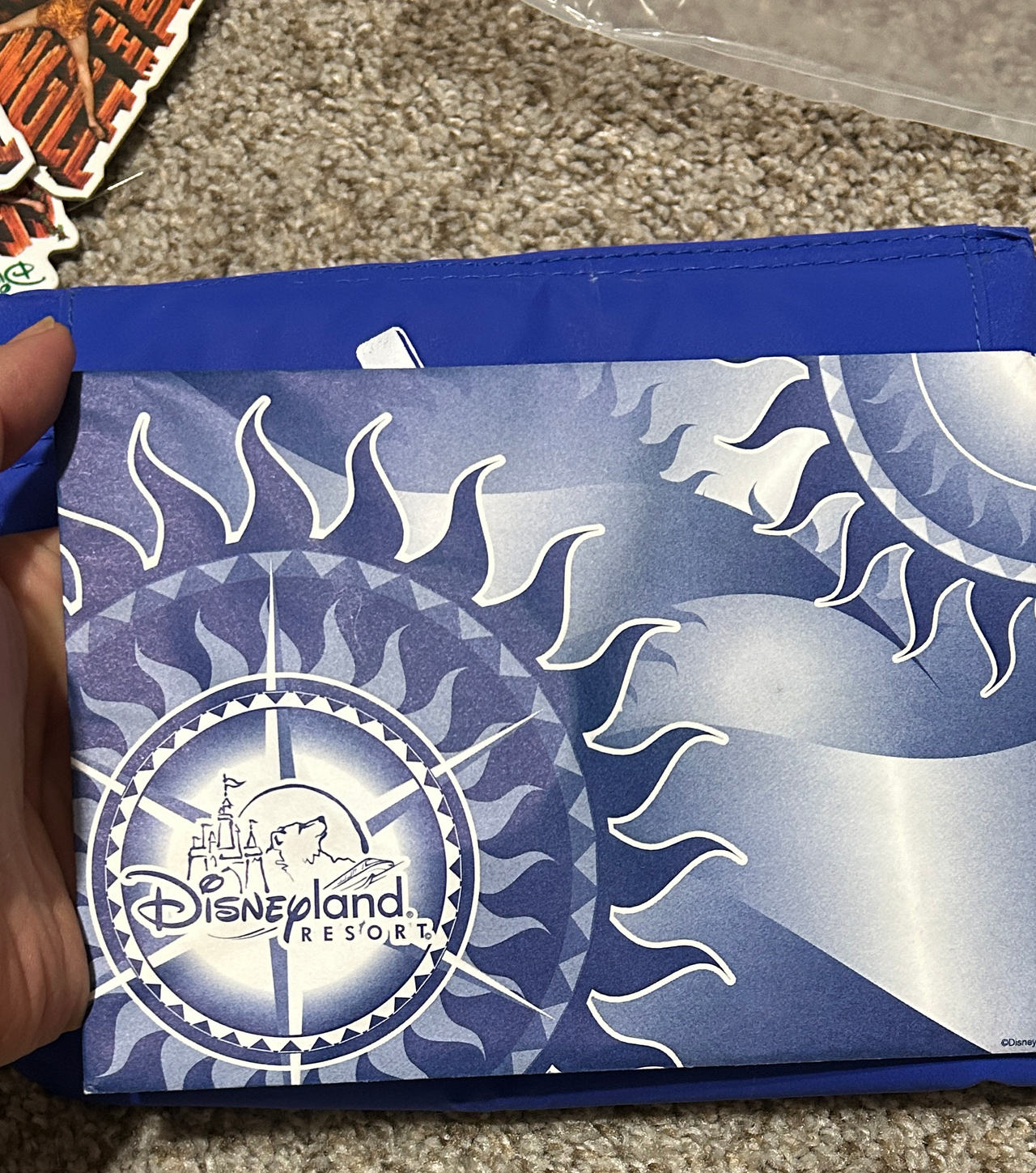 Disney California Adventure Opening Day 2001 Collectible Medallion