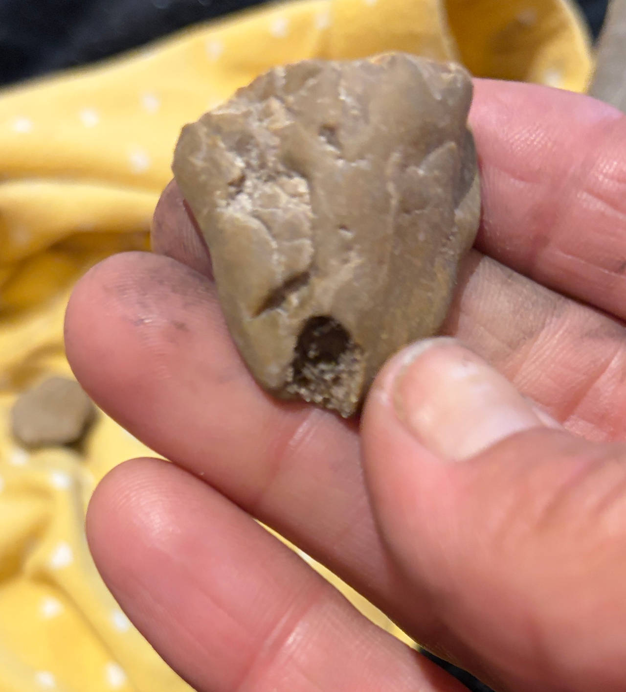 Native American Chert Flake/Tool