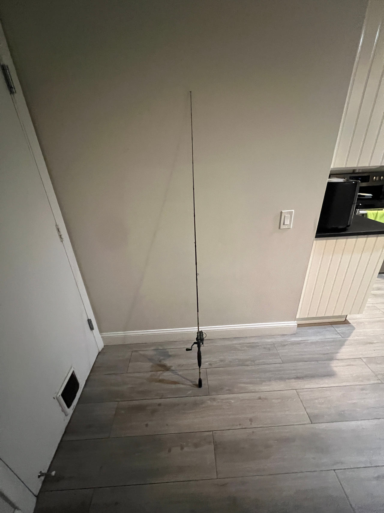Fishing Rod and Reel Combo
