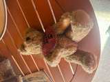 Boyds Bears Bosley Beige Plush 8" Bear with Bib - Image 3