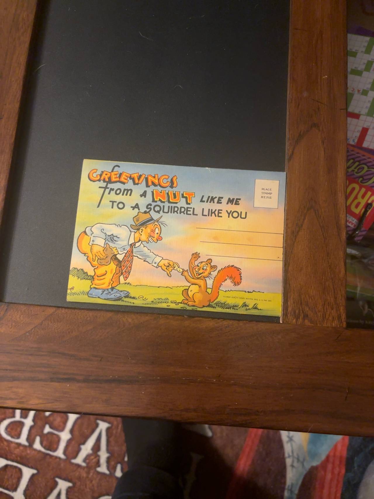 Curt Teich Vintage Squirrel Humor Postcard Folder