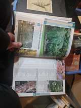 Landscaping 1-2-3: Regional Edition Zones 2-4 (Home Depot 1-2-3) - Image 1