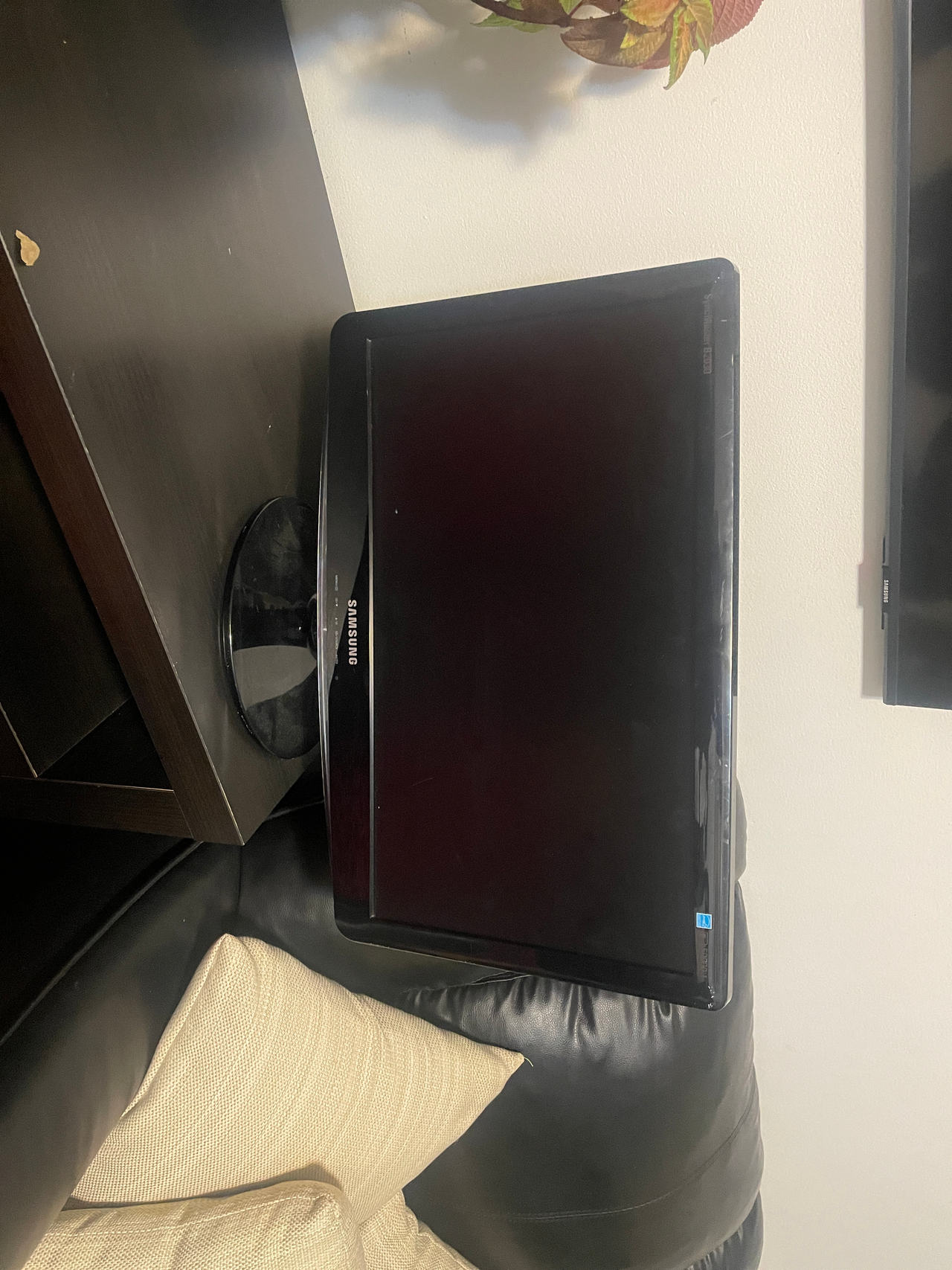 Samsung LCD Monitor