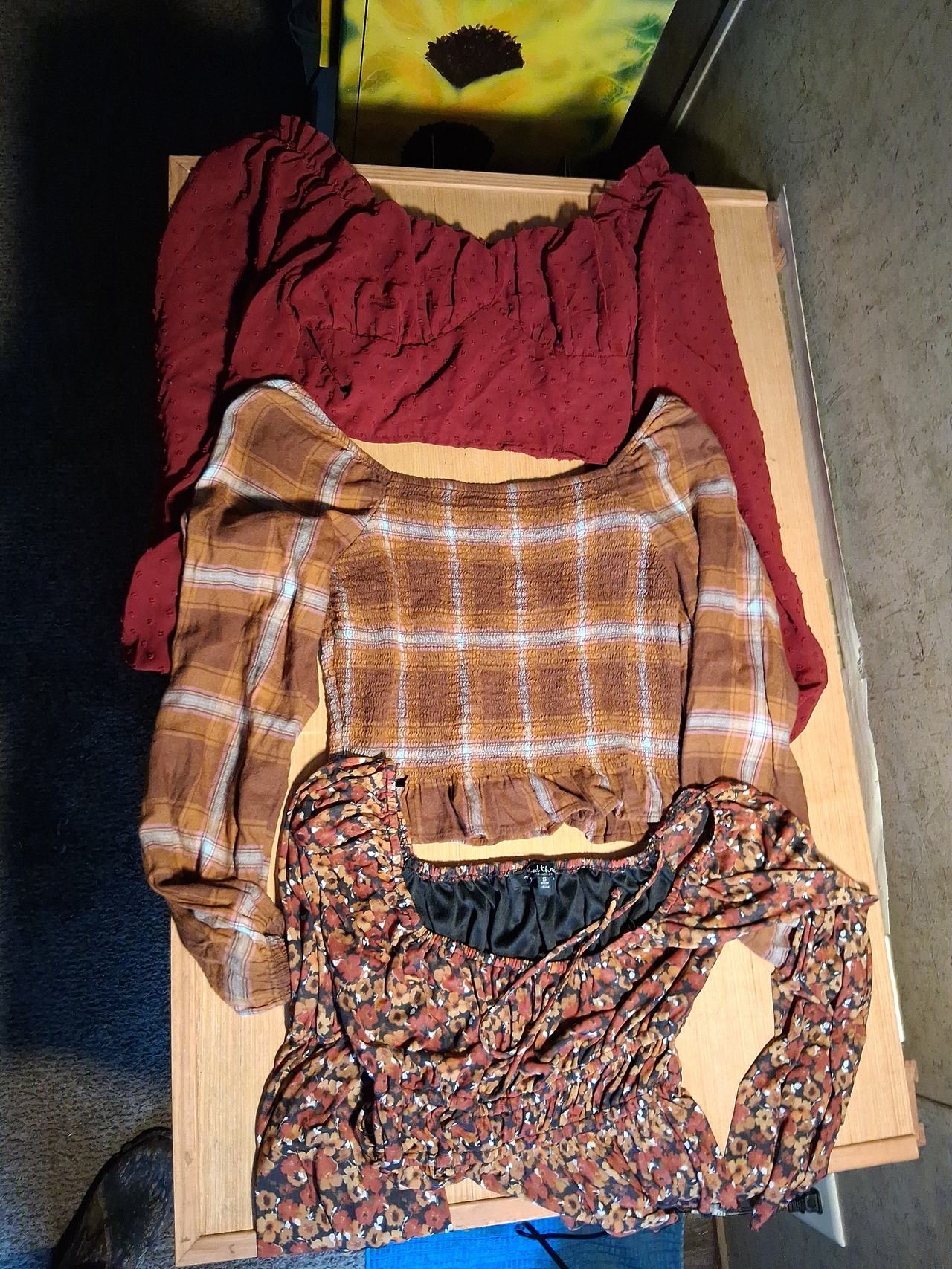 Wild Fable Smocked Long Sleeve Crop Tops