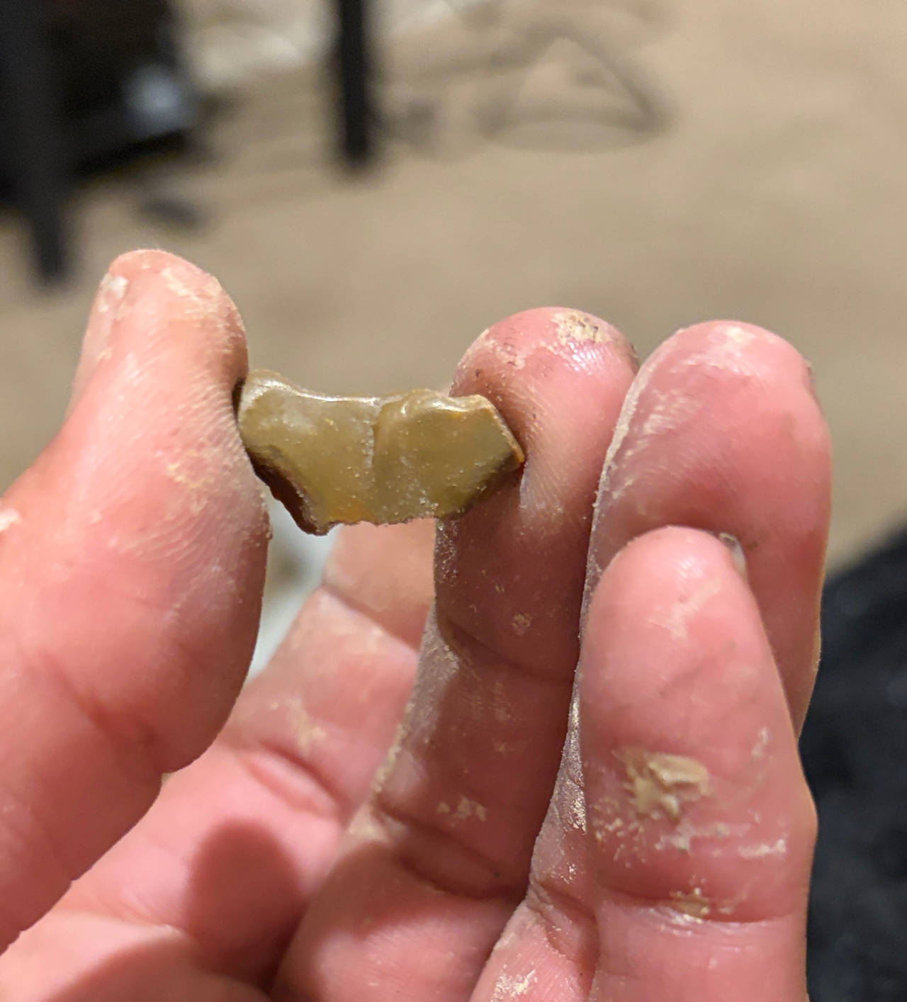 Stone Lithic Flake Artifact